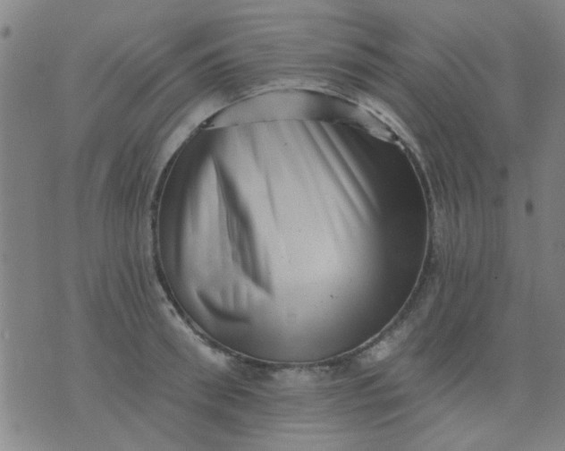 X0000076100898200610061704