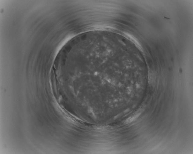 X0000076100899200610061703