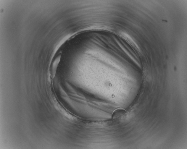 X0000076100900200610061703