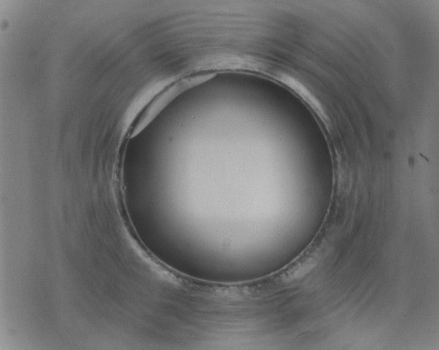 X0000076100901200610061703