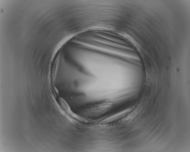 X0000076100902200610061703