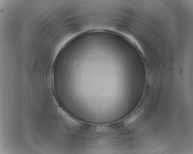 X0000076100903200610061703