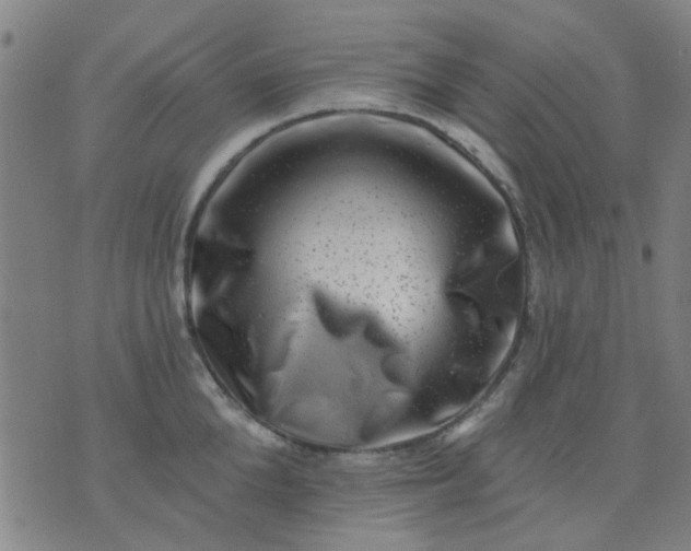 X0000076100904200610061703