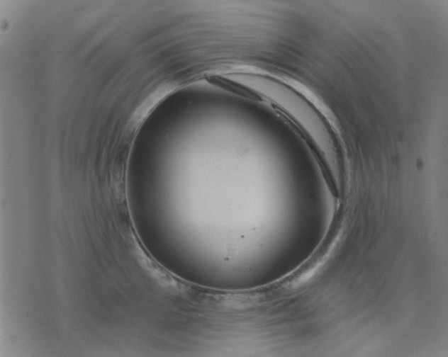 X0000076100905200610061703