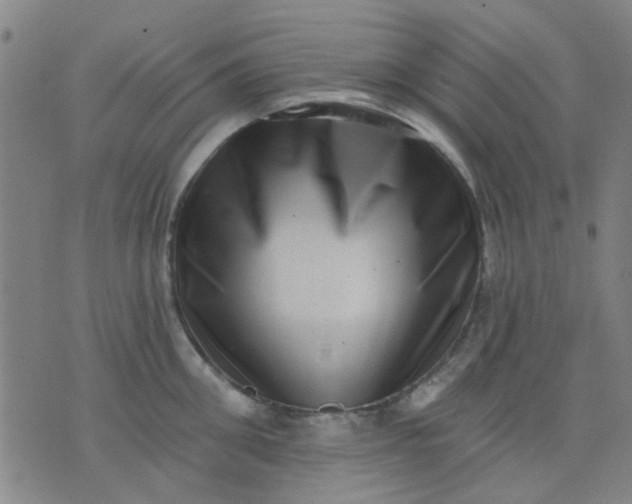 X0000076100906200610061703