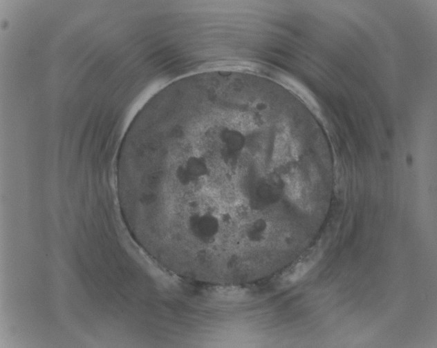 X0000076100907200610061703