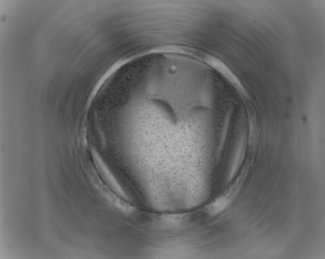 X0000076100908200610061703