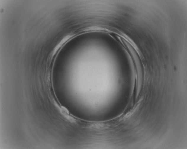 X0000076100909200610061703