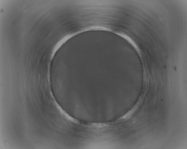 X0000076100910200610061703