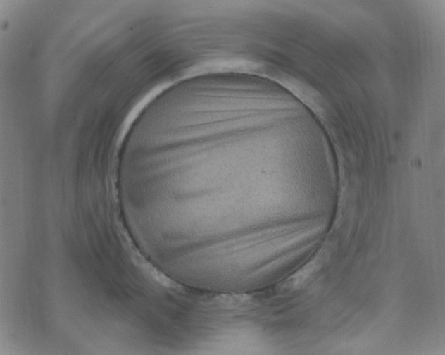 X0000076100912200610061703