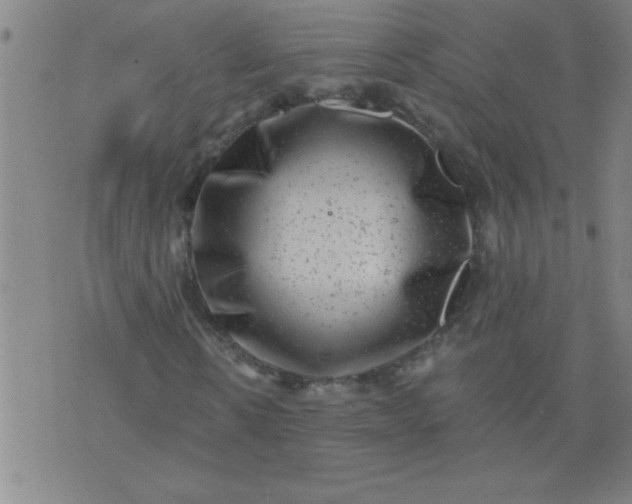 X0000076100914200610061703