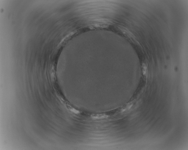 X0000076100915200610061703