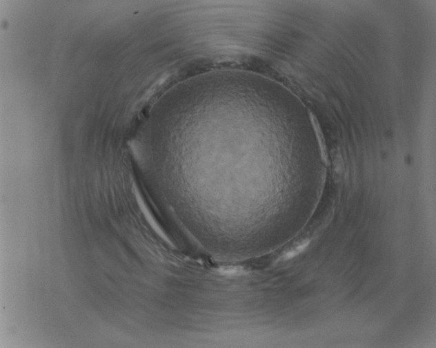 X0000076100916200610061703