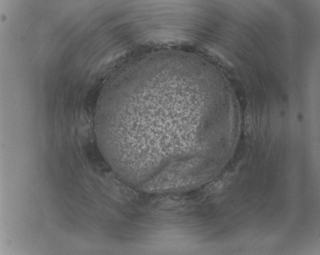 X0000076100917200610061703