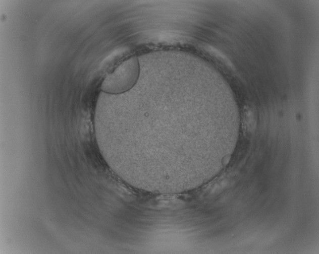 X0000076100918200610061703