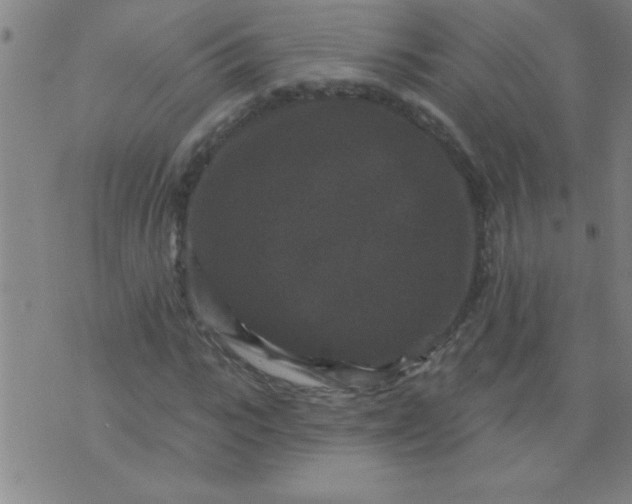 X0000076100919200610061703