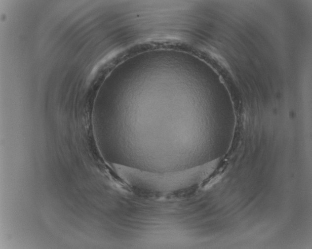 X0000076100920200610061703