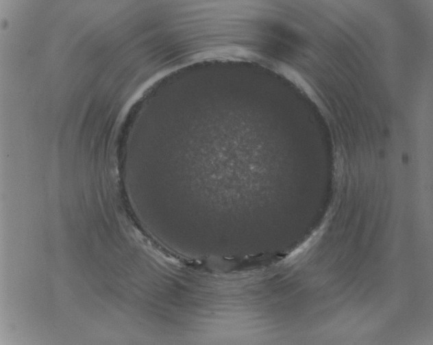 X0000076100923200610061703