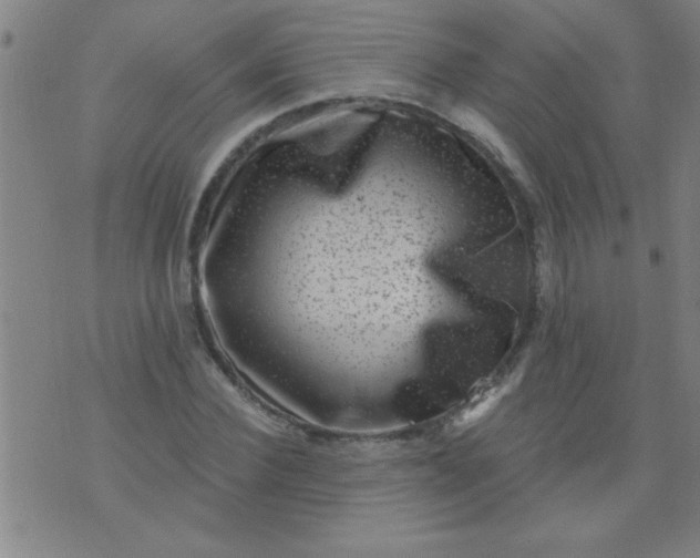 X0000076100924200610061703