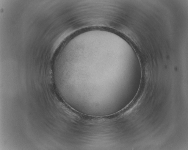 X0000076100926200610061703