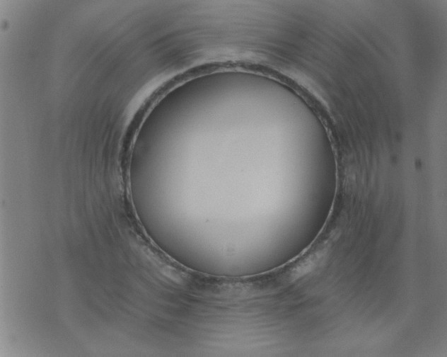 X0000076100927200610061703