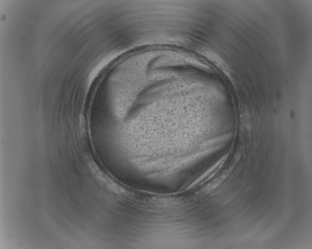 X0000076100928200610061703