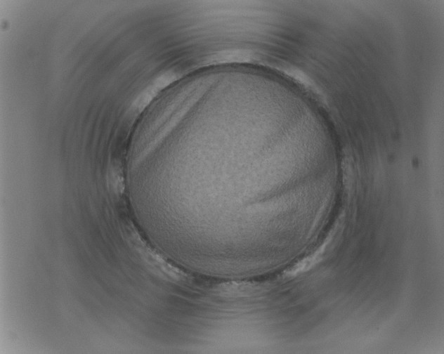 X0000076100929200610061703