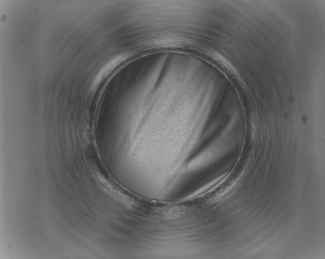 X0000076100930200610061703