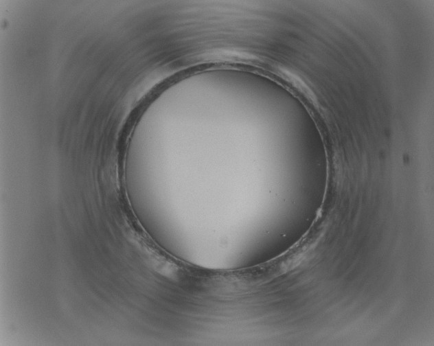 X0000076100931200610061703