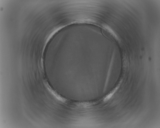 X0000076100932200610061703