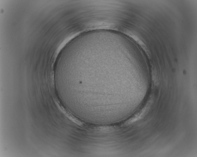 X0000076100933200610061703