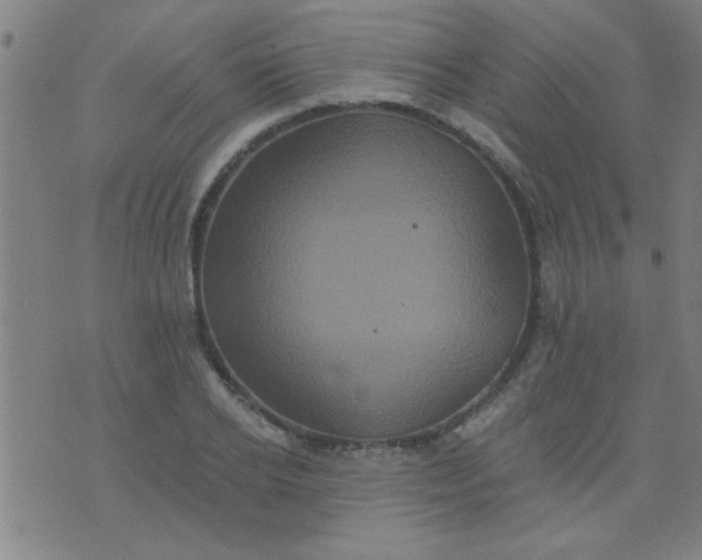 X0000076100934200610061703