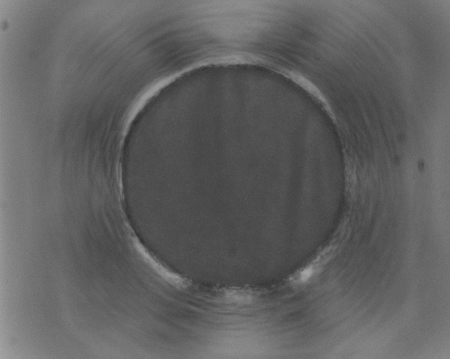 X0000076100935200610061703