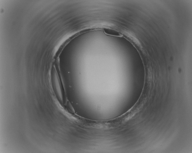 X0000076100936200610061703