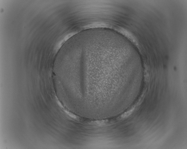 X0000076100937200610061703