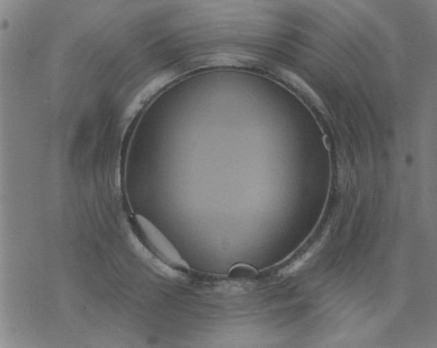 X0000076100938200610061703