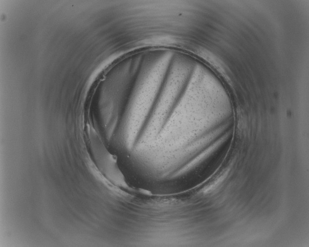 X0000076100939200610061703