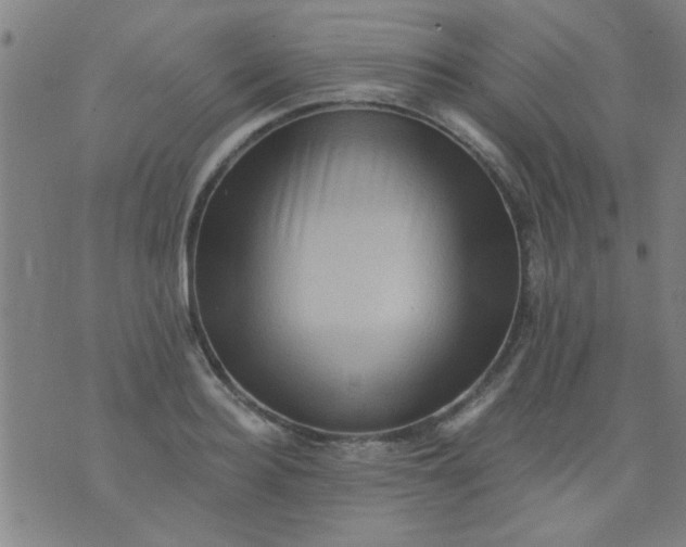 X0000076100940200610061703