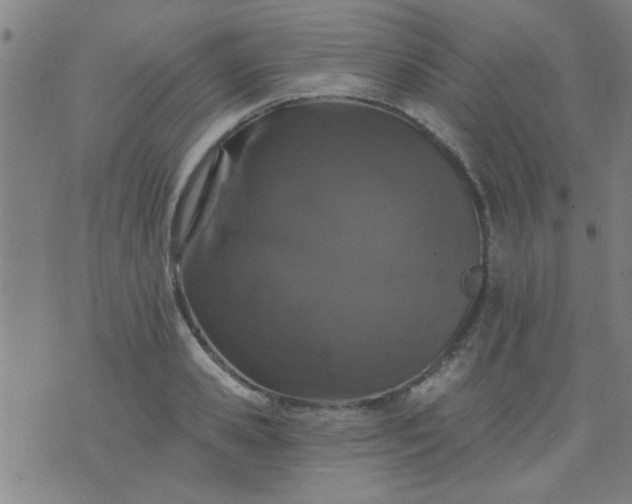 X0000076100941200610061703