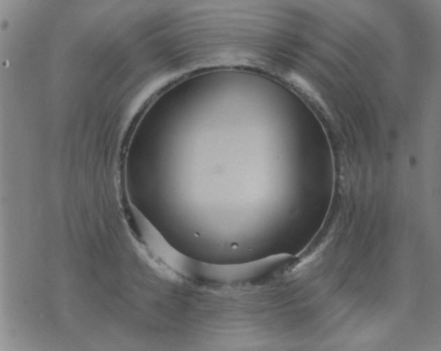 X0000076100942200610061703