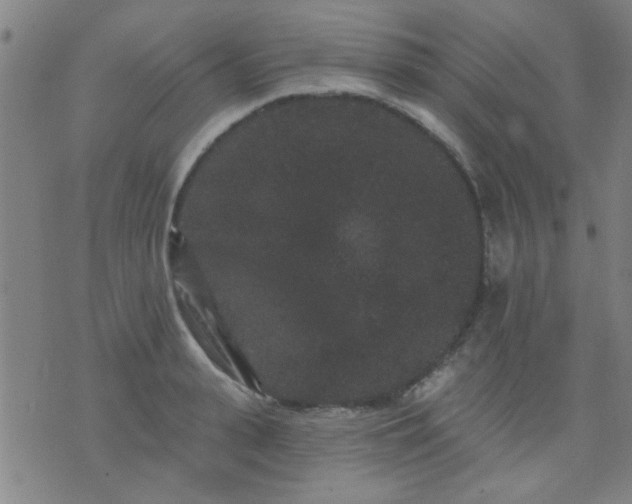 X0000076100943200610061703