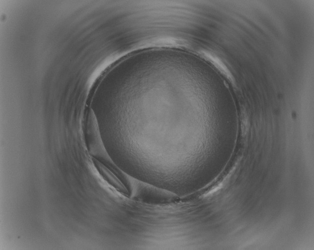 X0000076100944200610061703