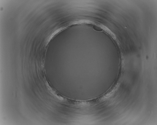 X0000076100945200610061703