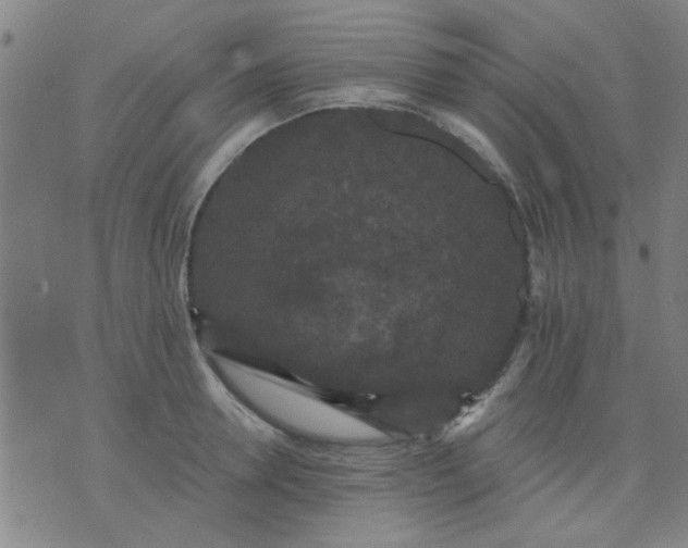 X0000076100946200610061703