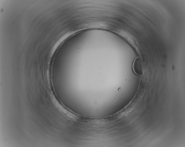 X0000076100947200610061703