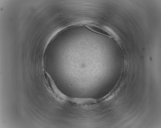 X0000076100948200610061703