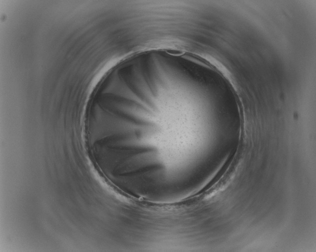 X0000076100949200610061703