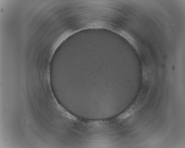 X0000076100950200610061703