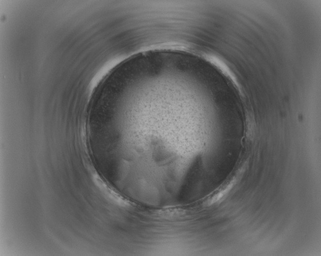 X0000076100952200610061703