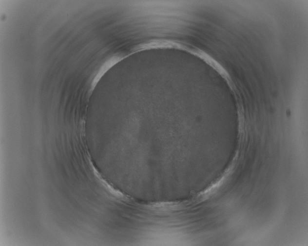 X0000076100953200610061703